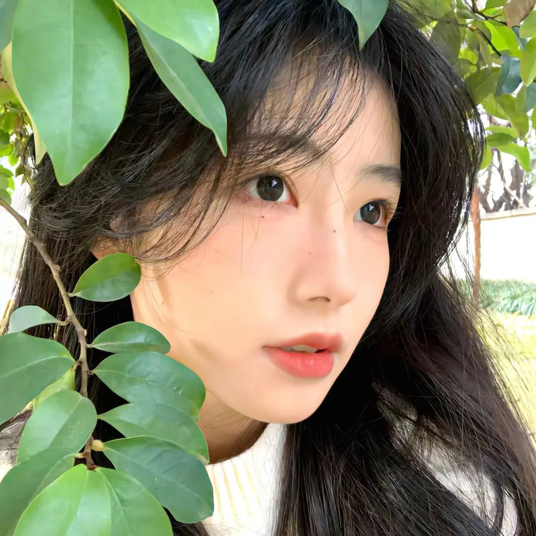 艳谍玛泰哈莉 在线观看